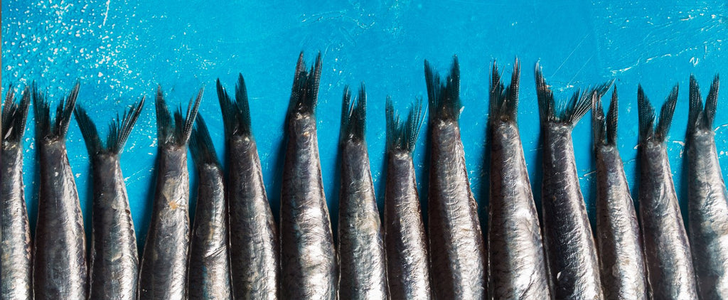 Eating fish may not be enough to get your daily dose of omega-3s